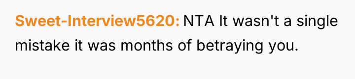Sweet-Interview5620 NTA It wasn't a single mistake it was months...