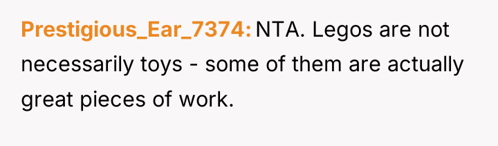 Prestigious_Ear_7374 NTA. Legos are not necessarily toys - some of...