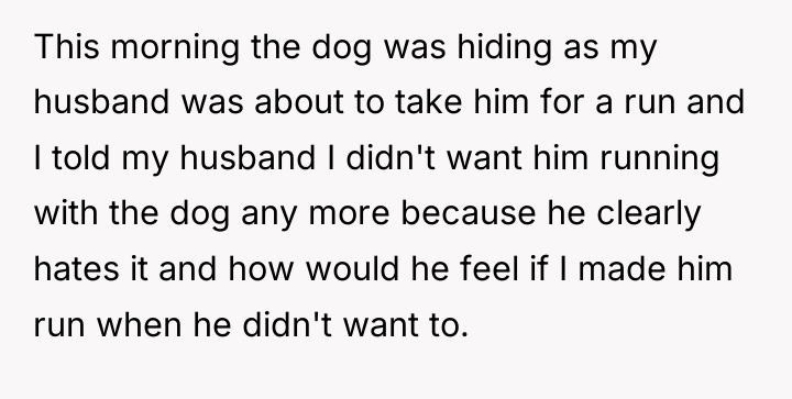 This morning the dog was hiding as my husband was...