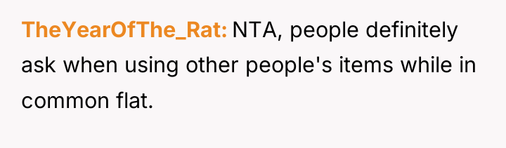 TheYearOfThe_Rat NTA, people definitely ask when using other people's items...