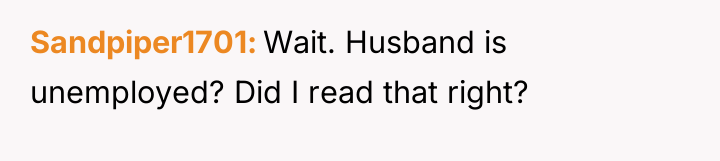 Sandpiper1701 Wait. Husband is unemployed? Did I read that right?