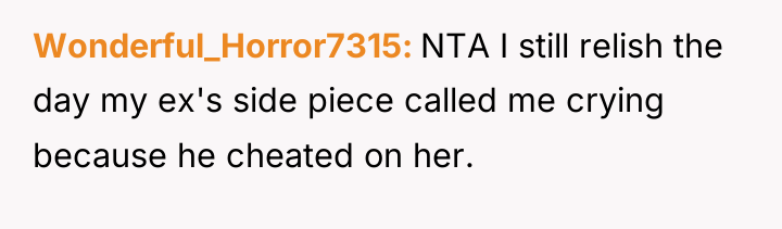 Wonderful_Horror7315 NTA I still relish the day my ex's side...