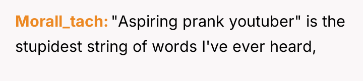 Morall_tach "Aspiring prank youtuber" is the stupidest string of words...