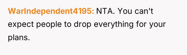 WarIndependent4195 NTA. You can't expect people to drop everything for...