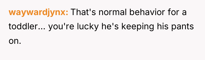 waywardjynx That's normal behavior for a toddler... you're lucky he's...