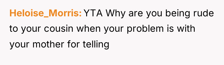Heloise_Morris YTA Why are you being rude to your cousin...