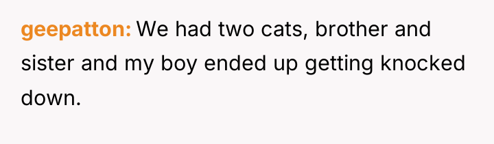 geepatton We had two cats, brother and sister and my...