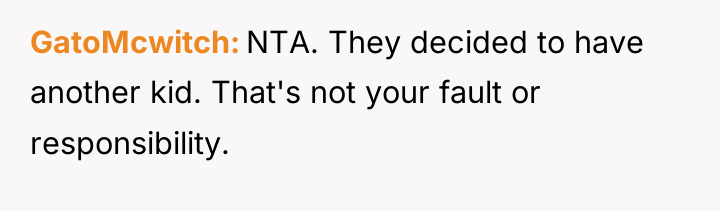 GatoMcwitch NTA. They decided to have another kid. That's not...