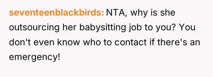 seventeenblackbirds NTA, why is she outsourcing her babysitting job to...
