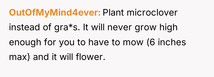 OutOfMyMind4ever Plant microclover instead of gra*s. It will never grow...