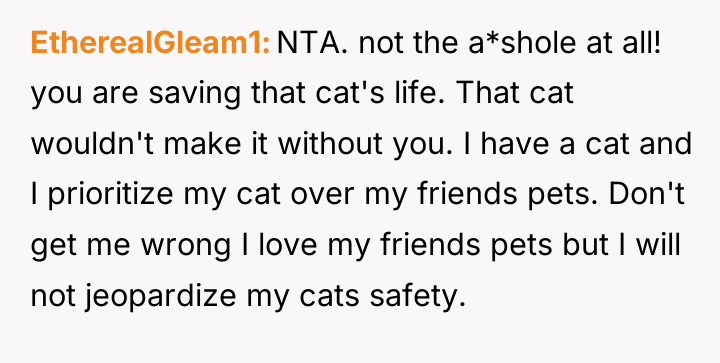 EtherealGleam1 NTA. not the a*shole at all! you are saving...