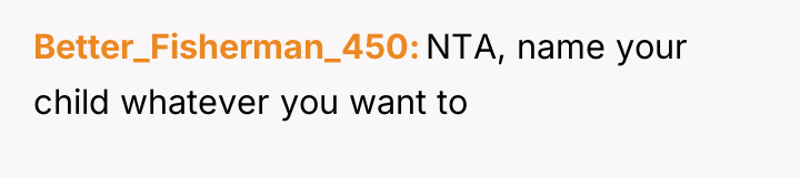 Better_Fisherman_450 NTA, name your child whatever you want to