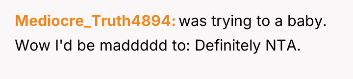 Mediocre_Truth4894 was trying to a baby. Wow I'd be maddddd...