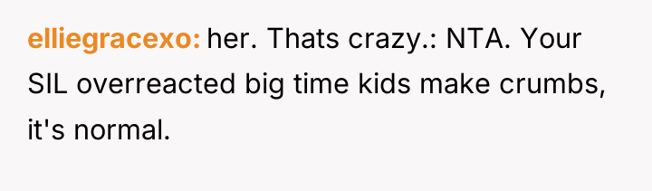 elliegracexo her. Thats crazy.: NTA. Your SIL overreacted big time...