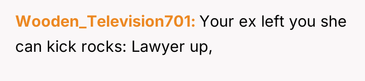 Wooden_Television701 Your ex left you she can kick rocks: Lawyer...