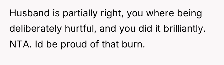 Husband is partially right, you where being deliberately hurtful, and...