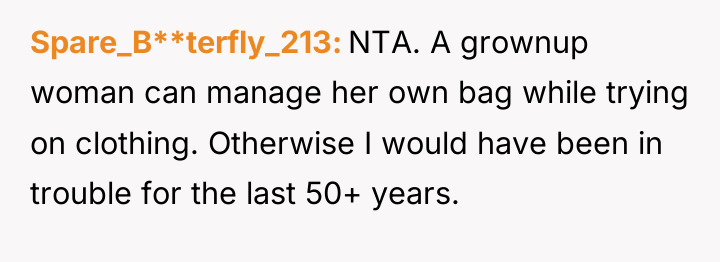 Spare_B**terfly_213 NTA. A grownup woman can manage her own bag...
