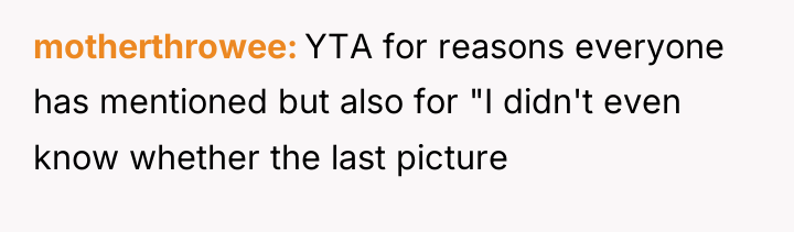 motherthrowee YTA for reasons everyone has mentioned but also for...