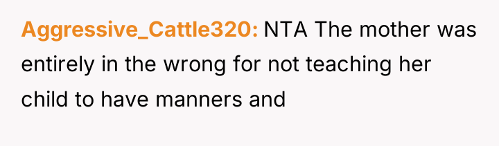 Aggressive_Cattle320 NTA The mother was entirely in the wrong for...