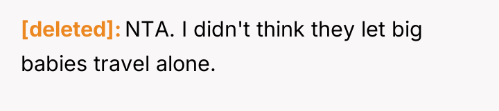 [deleted] NTA. I didn't think they let big babies travel...