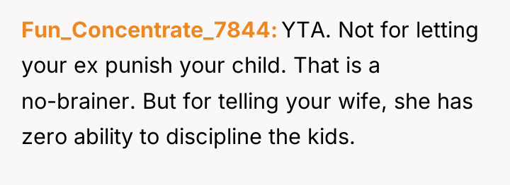 Fun_Concentrate_7844 YTA. Not for letting your ex punish your child....