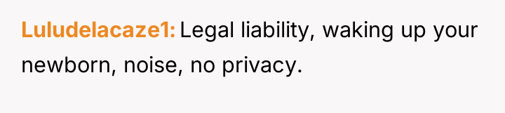 Luludelacaze1 Legal liability, waking up your newborn, noise, no privacy.