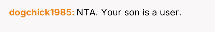 dogchick1985 NTA. Your son is a user.