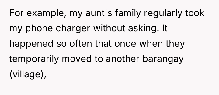 For example, my aunt's family regularly took my phone charger...
