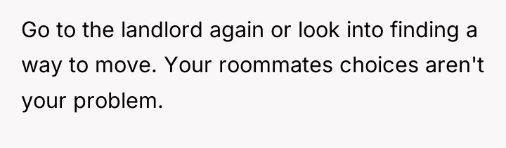Go to the landlord again or look into finding a...