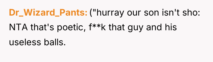 Dr_Wizard_Pants ("hurray our son isn't sho: NTA that's poetic, f**k...