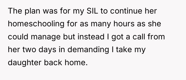 The plan was for my SIL to continue her homeschooling...