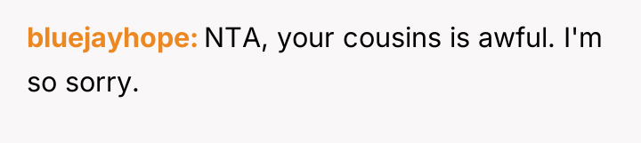 bluejayhope NTA, your cousins is awful. I'm so sorry.