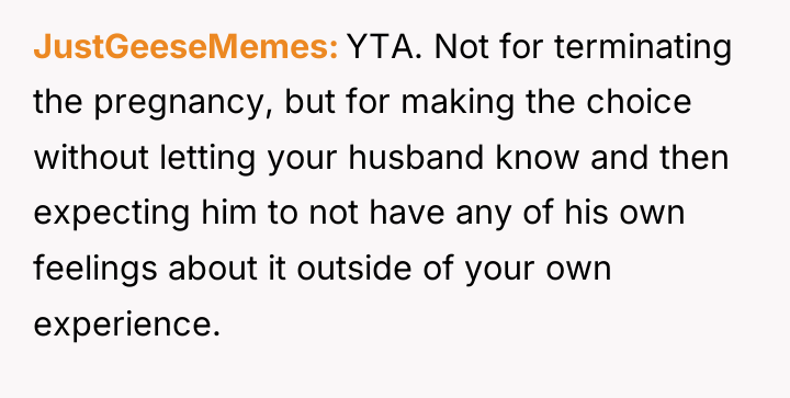 JustGeeseMemes YTA. Not for terminating the pregnancy, but for making...