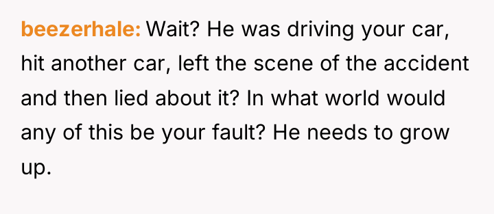 beezerhale Wait? He was driving your car, hit another car,...