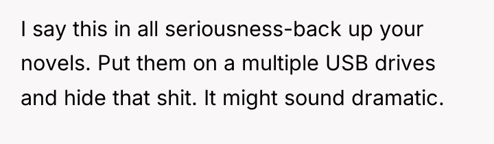 I say this in all seriousness-back up your novels. Put...