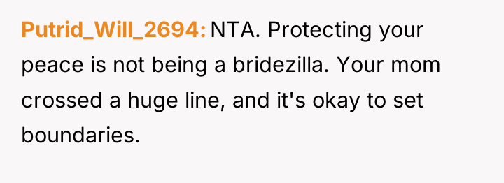 Putrid_Will_2694 NTA. Protecting your peace is not being a bridezilla....