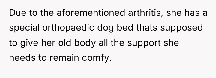 Due to the aforementioned arthritis, she has a special orthopaedic...