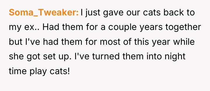 Soma_Tweaker I just gave our cats back to my ex.....