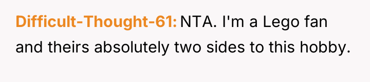 Difficult-Thought-61 NTA. I'm a Lego fan and theirs absolutely two...