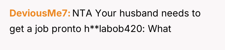 DeviousMe7 NTA Your husband needs to get a job pronto...
