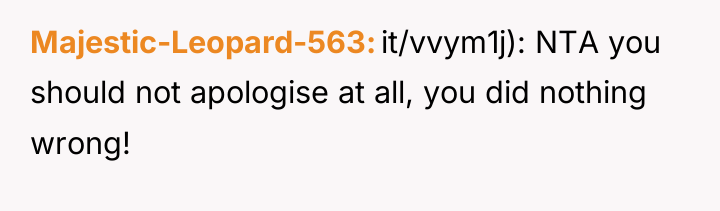 Majestic-Leopard-563 it/vvym1j): NTA you should not apologise at all, you...