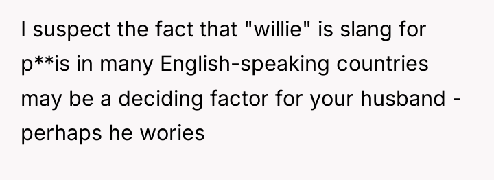 I suspect the fact that "willie" is slang for p**is...