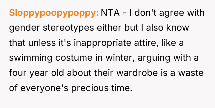 Sloppypoopypoppy NTA - I don't agree with gender stereotypes either...