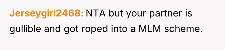 Jerseygirl2468 NTA but your partner is gullible and got roped...