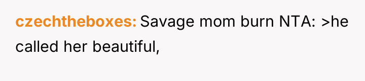 czechtheboxes Savage mom burn NTA: >he called her beautiful,