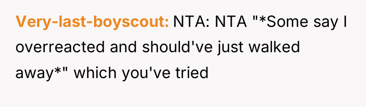 Very-last-boyscout NTA: NTA "*Some say I overreacted and should've just...
