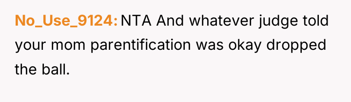No_Use_9124 NTA And whatever judge told your mom parentification was...