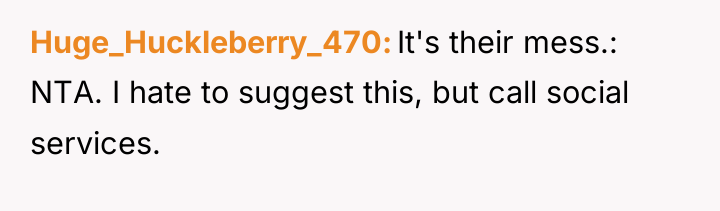 Huge_Huckleberry_470 It's their mess.: NTA. I hate to suggest this,...