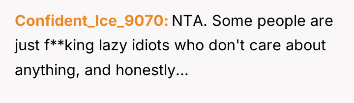 Confident_Ice_9070 NTA. Some people are just f**king lazy idiots who...