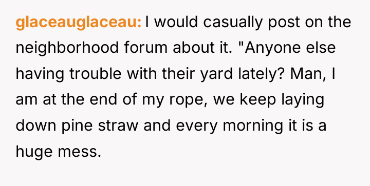 glaceauglaceau I would casually post on the neighborhood forum about...